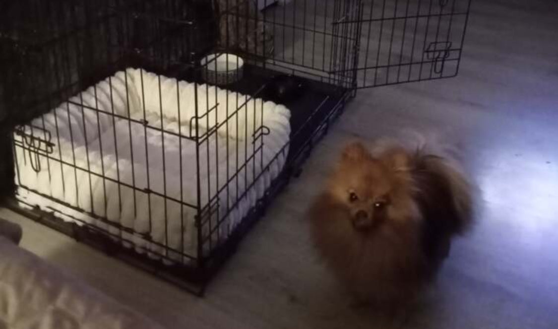 Rabbit Faux Fur Soft Square Dog Bed - Off White