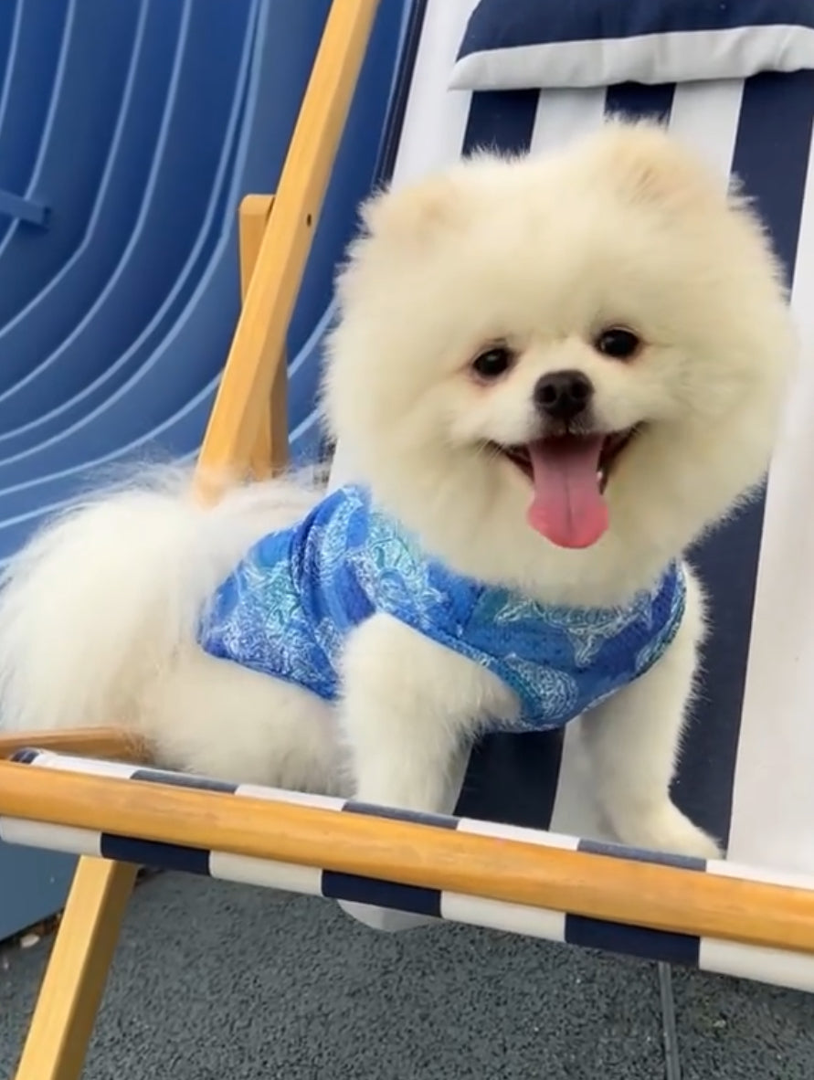 Printed Seashell Dog Cooling Vest
