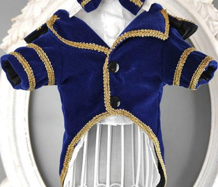 Faux Velvet Suit Jacket - Royal Blue/Gold