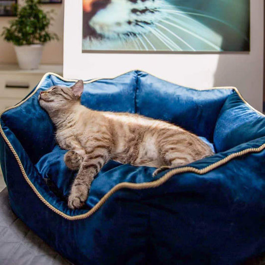 Pet Bed - Royal Blue