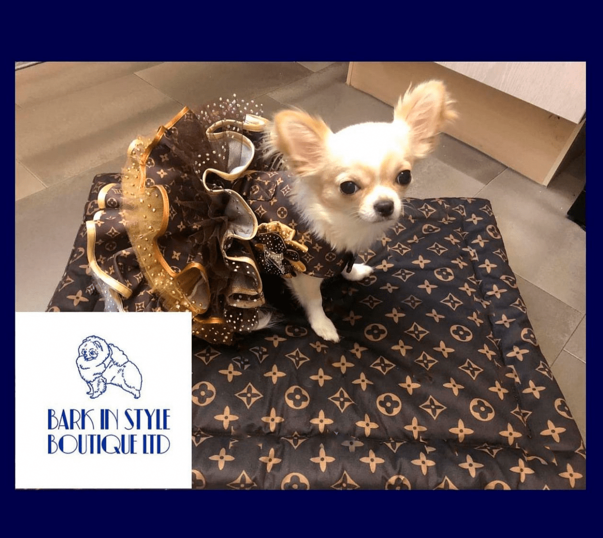 chewy vuitton dog sweater