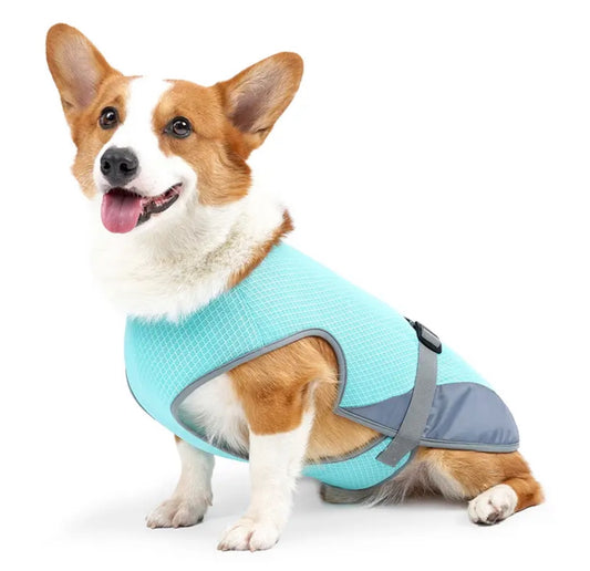 Dog Cooling Vest - Mint