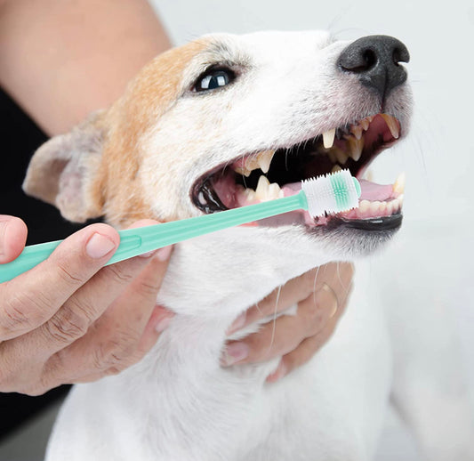 Dog Toothbrush 360 Degree Tooth Cleaning Brush Pink/Mint