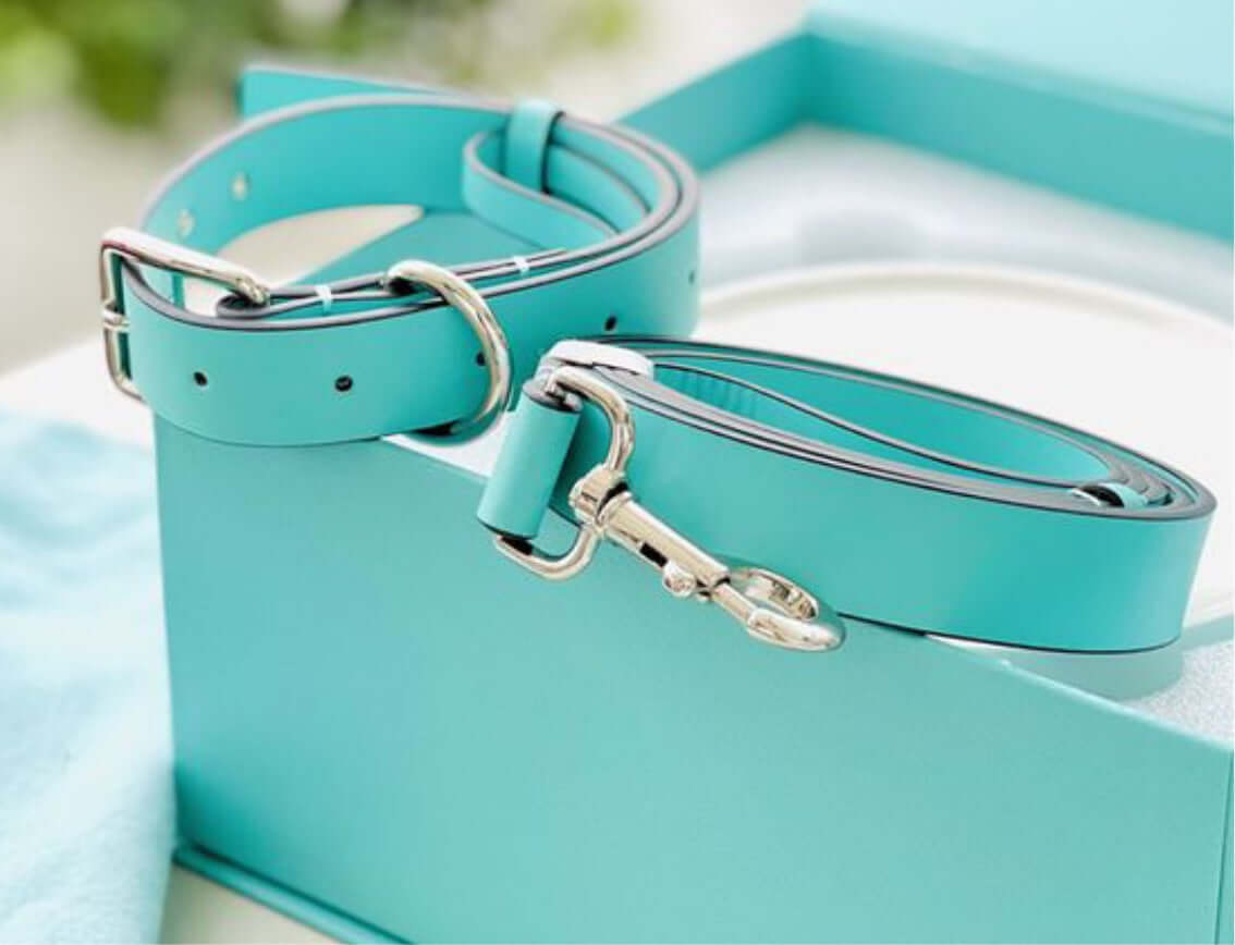 Sniffany Collar Lead Set - Mint