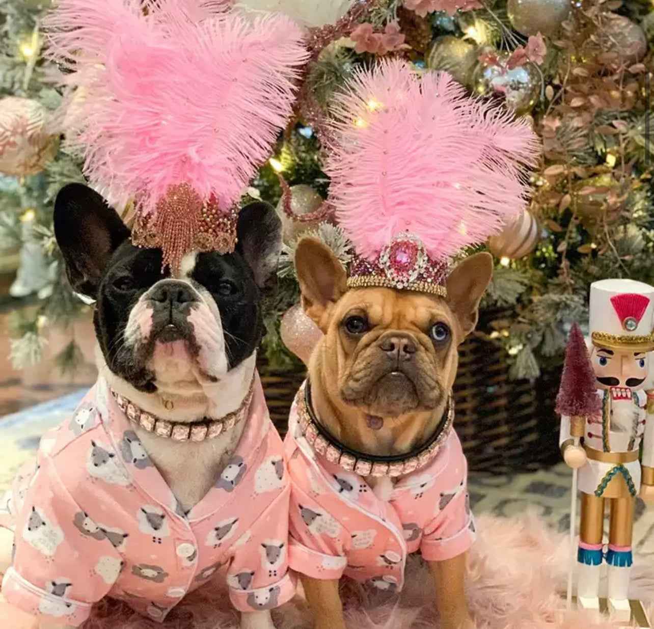 Gemstone Dog Collar - Clear