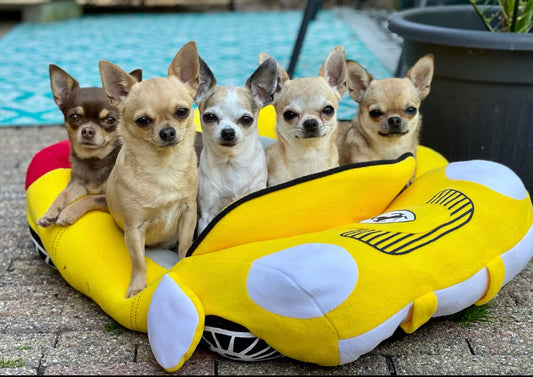 Dog Car Bed - Yellow