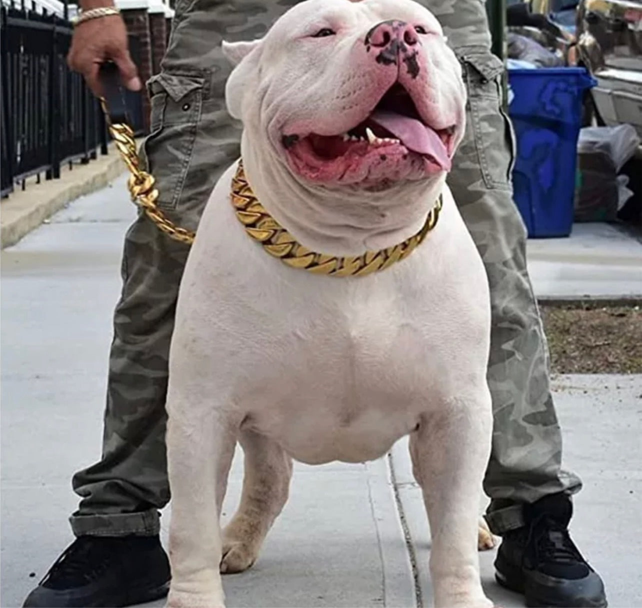 Gold 18K Plated Necklace Chain