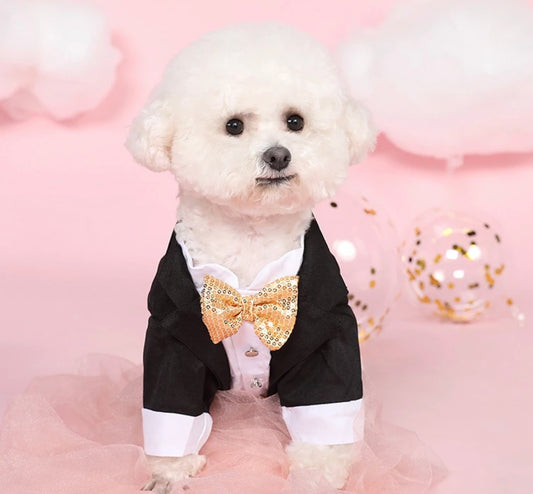 Gentleman Dog Suit with Dog Bow