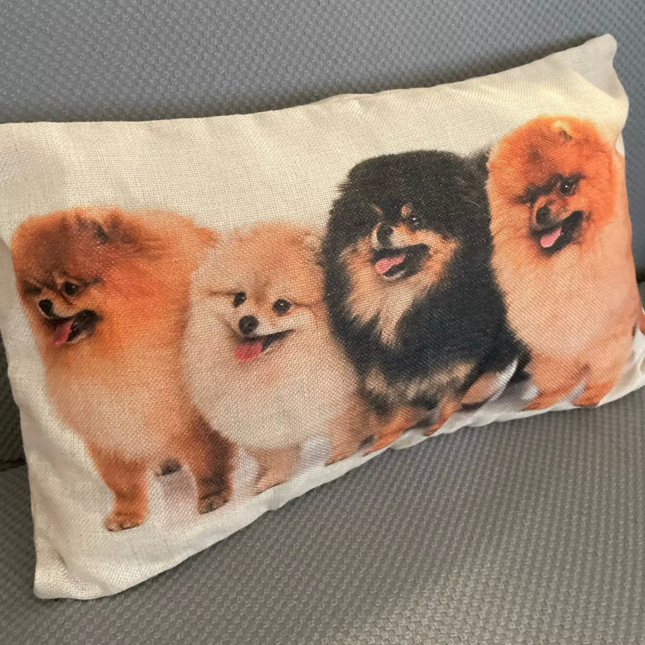 Pomeranian Pillow Cushion Cover