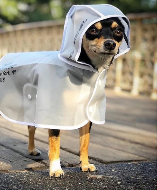 Raincoat with Hood - Transparent