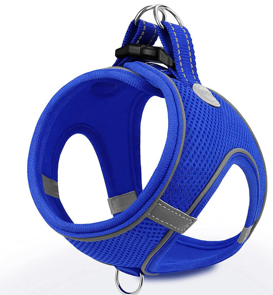 Reflective Step In Harness - Royal Blue