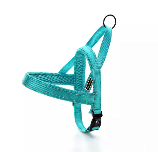 Nylon Dog Harness - Aqua