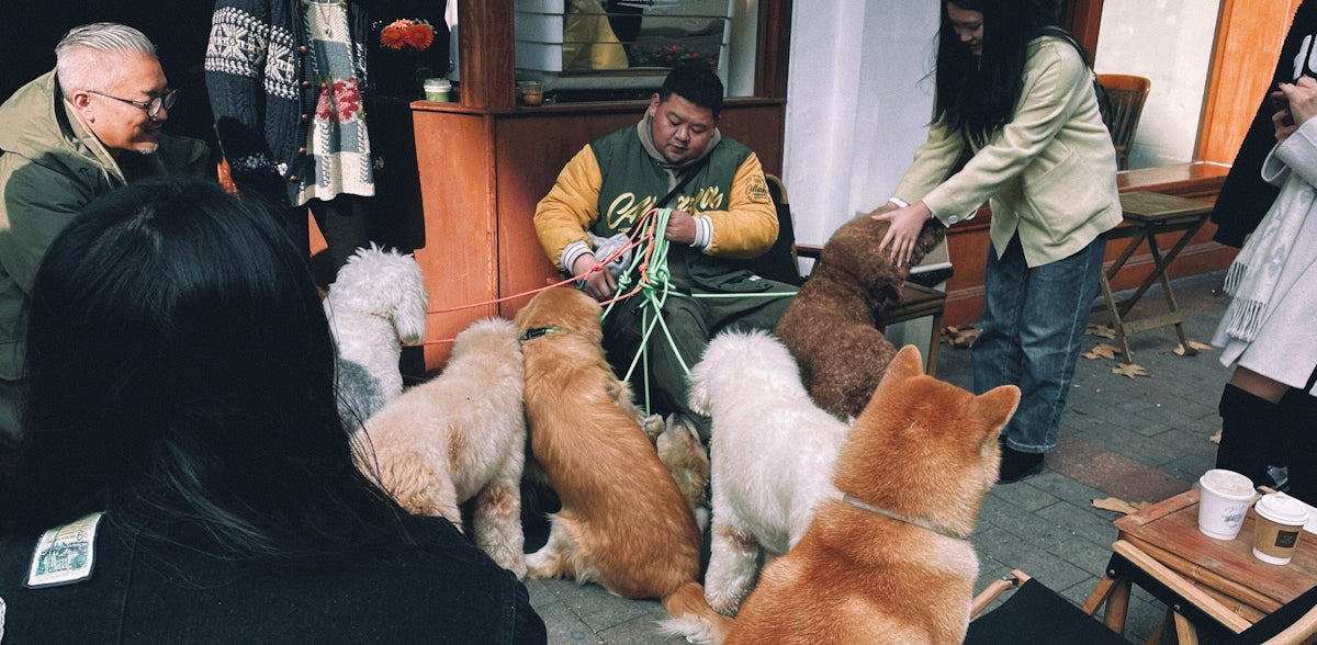 a group of people in a room with a group of cats