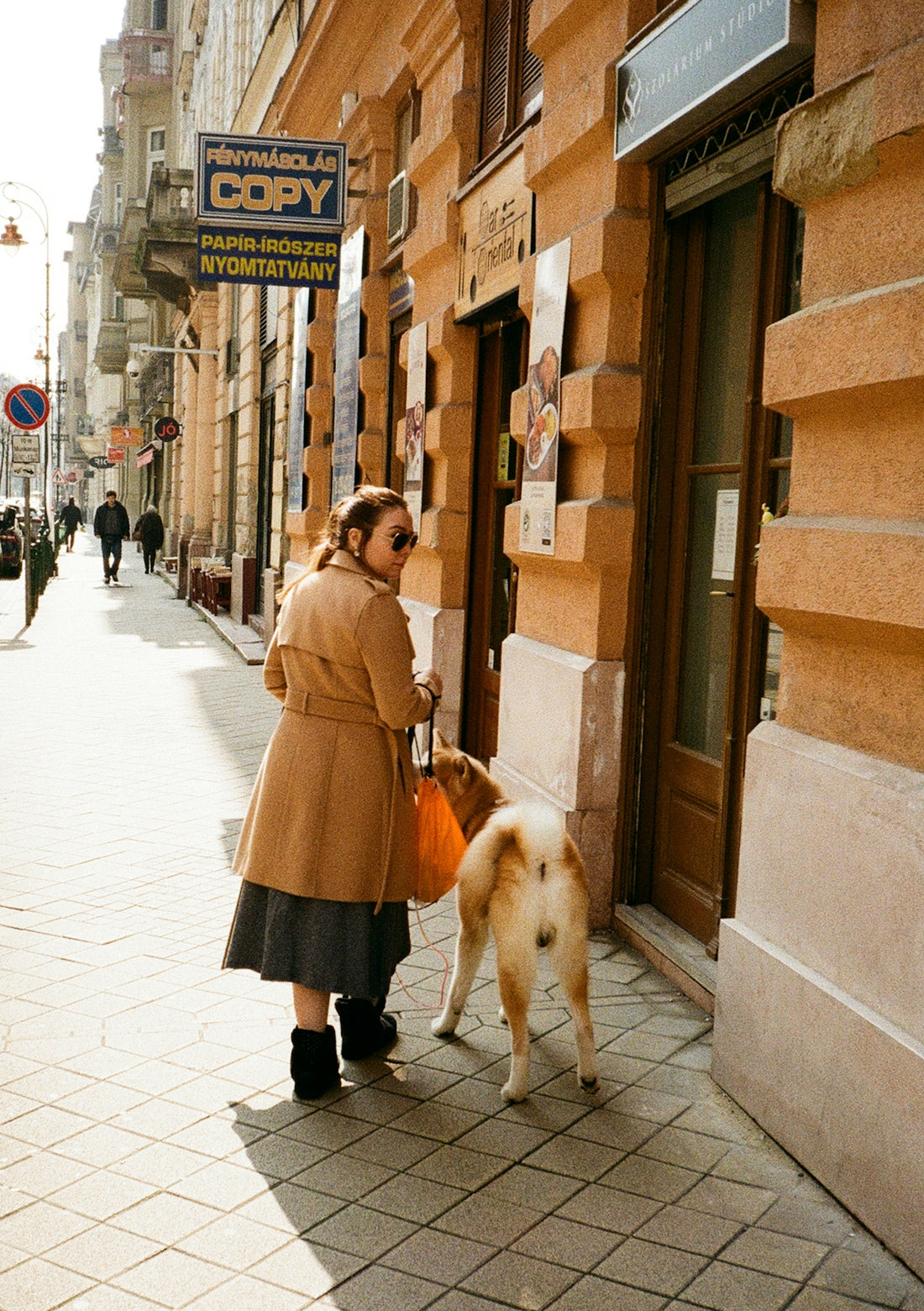 Woman and dog on a city sidewalk.