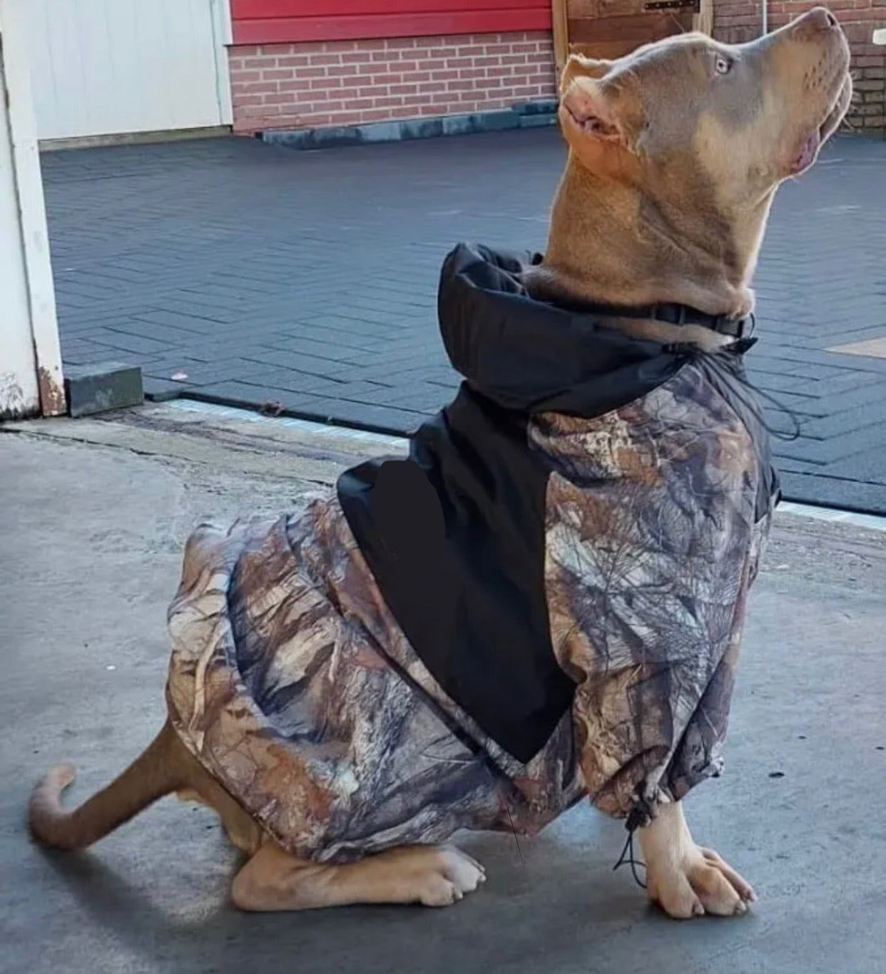 Coats