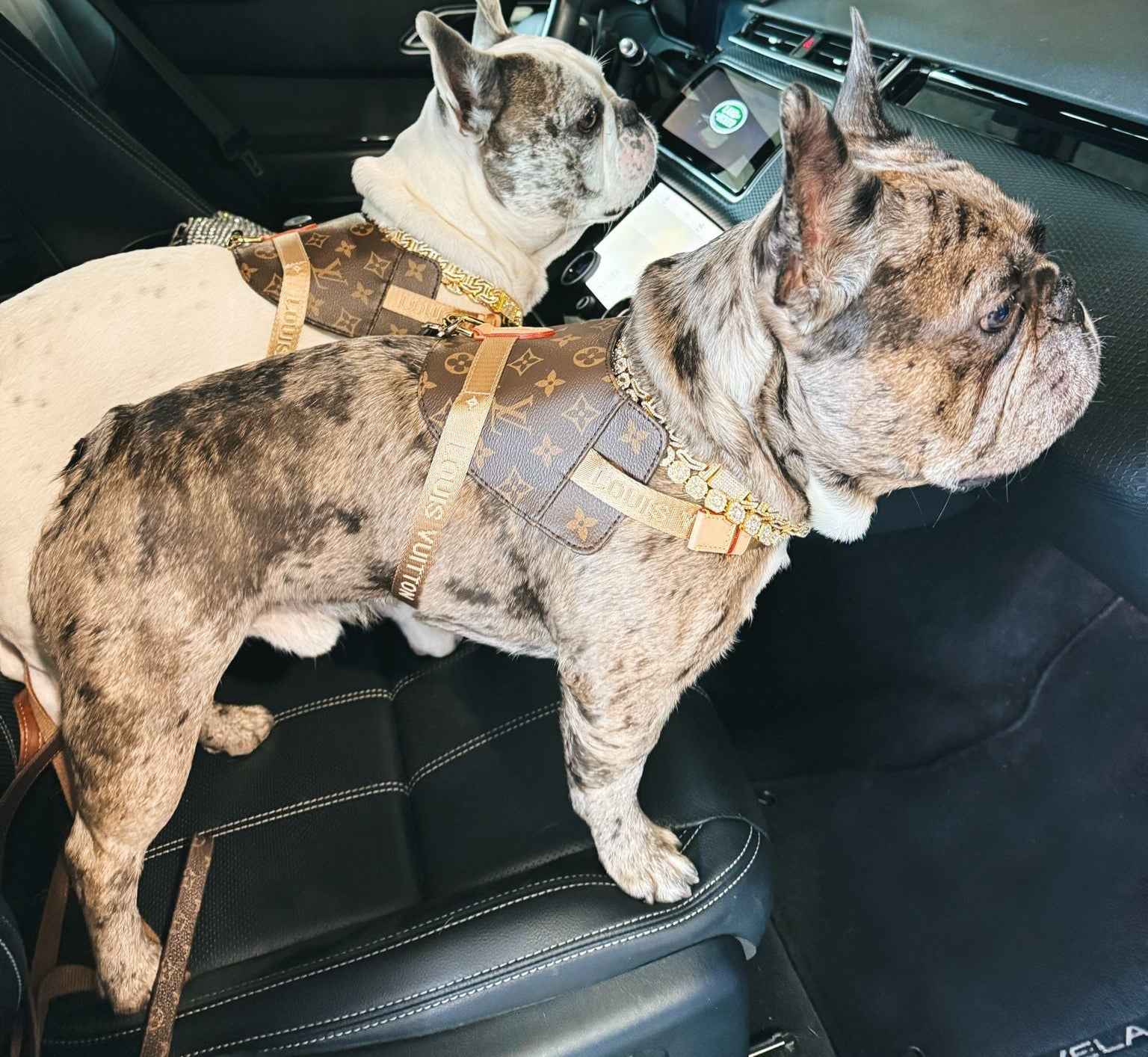 Woof Luxury Dog Harness - Brown