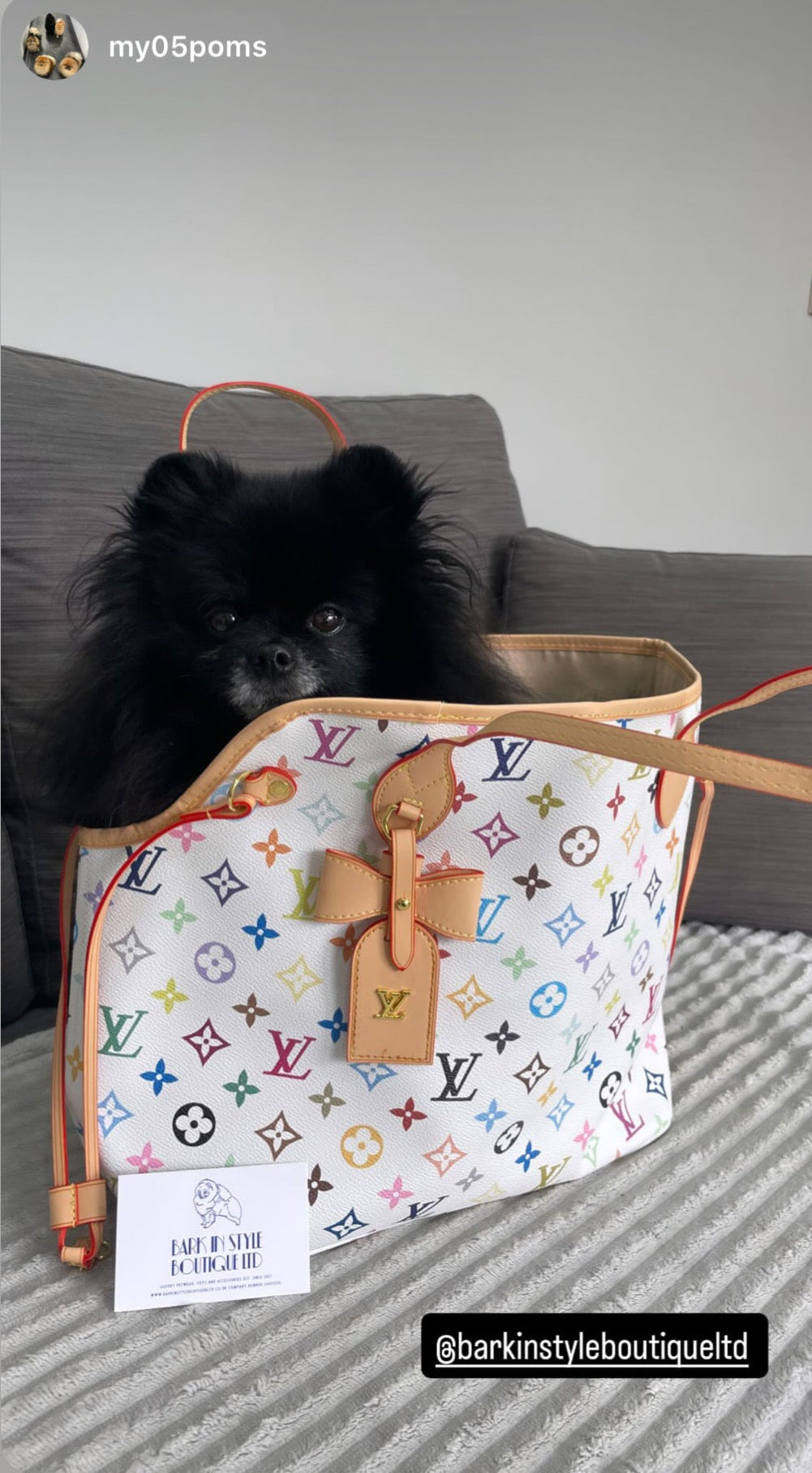 NeverWoof Luxury Bow Pet Carrier Tote Bag - Multicolour White