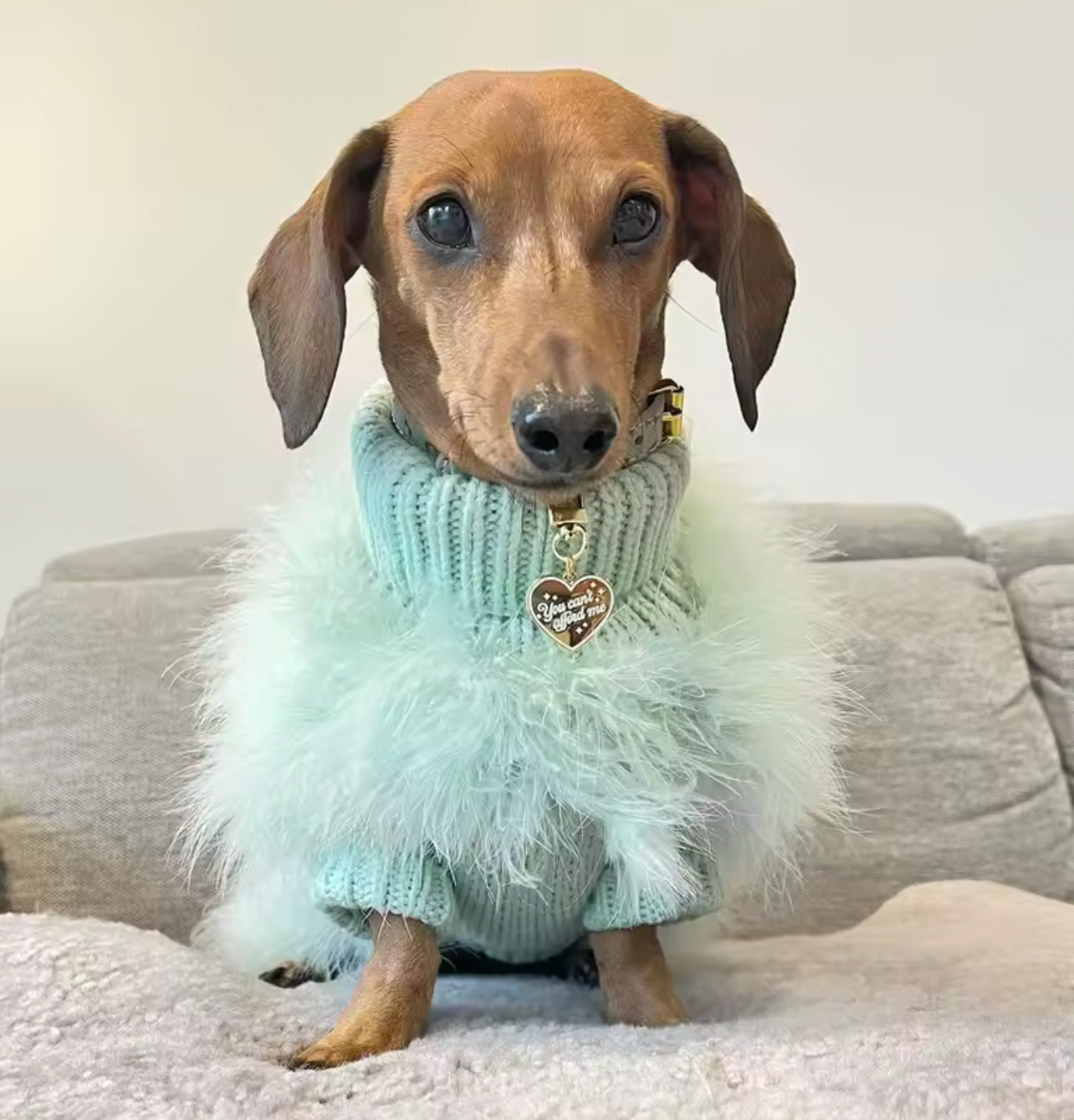 Knitted Feather Dog Jumper - Mint Green