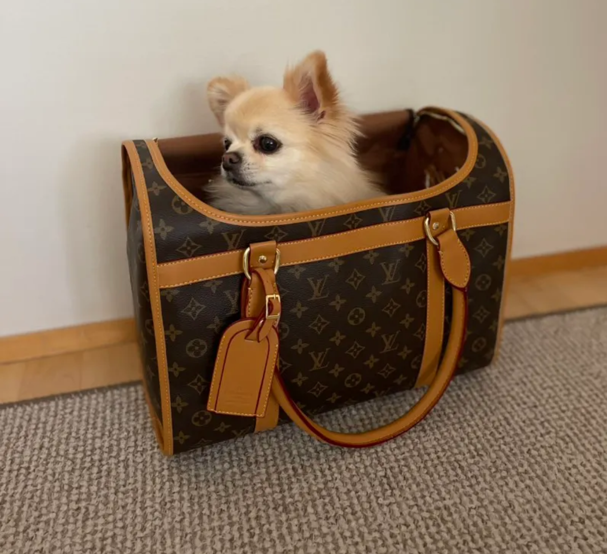 Luxury Pet Dog Carrier - Tan