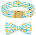 Lobster Dog Collar and Bow Set