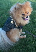 SALE Monogram Zip Dog Jacket - Brown