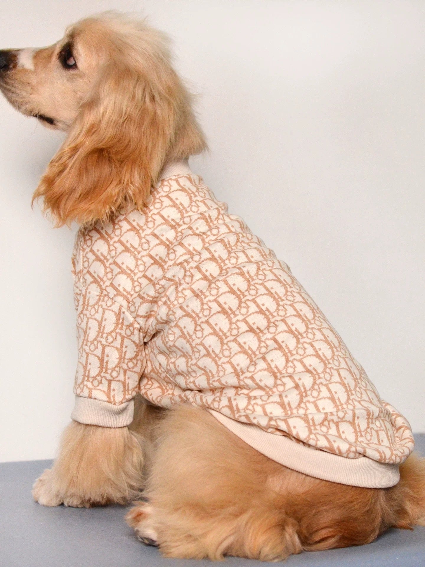 Printed Dog Jumper - Beige