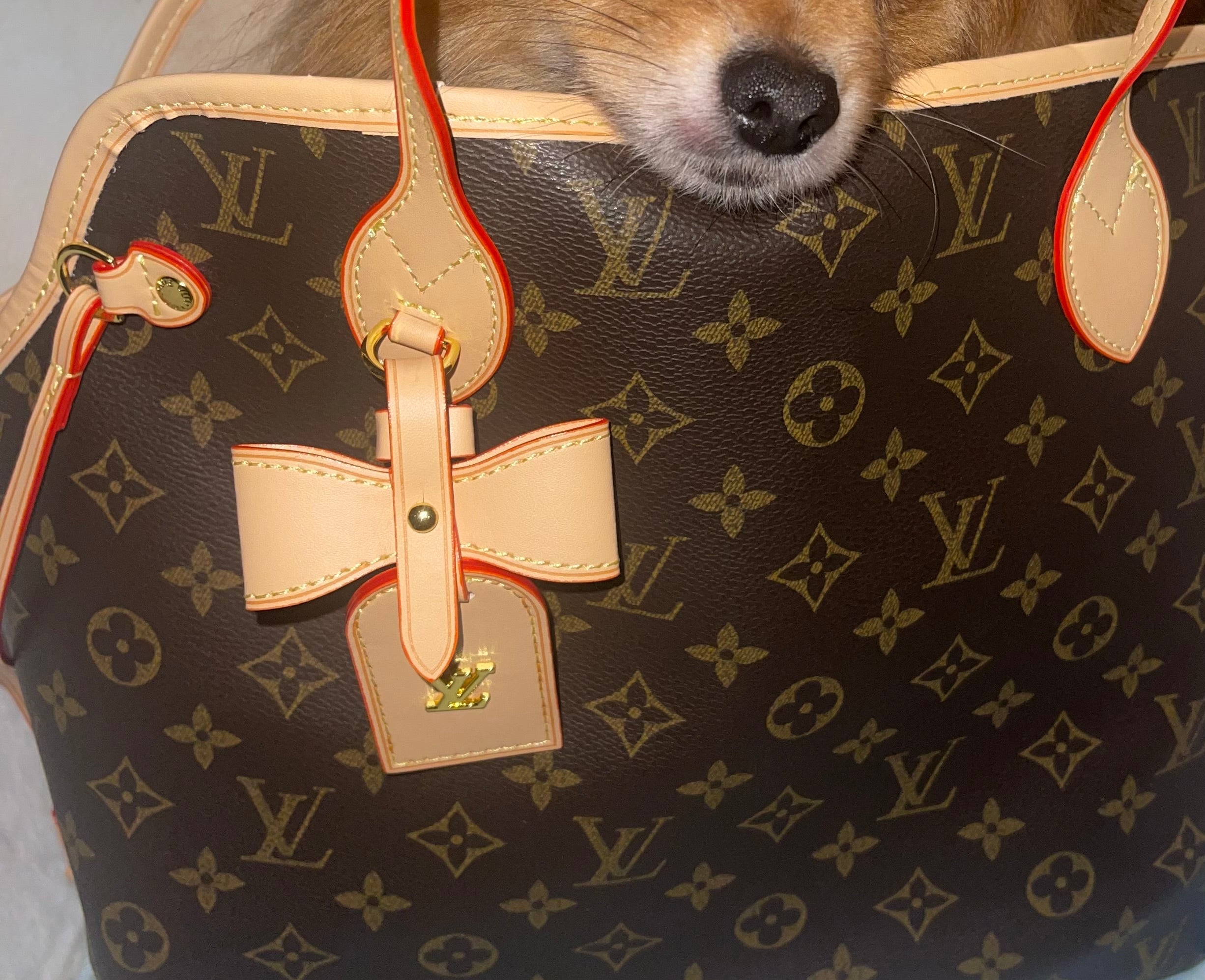 NeverWoof Luxury Bow Pet Carrier Tote Bag - Brown