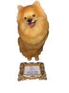 Pomeranian Sitting Ornament