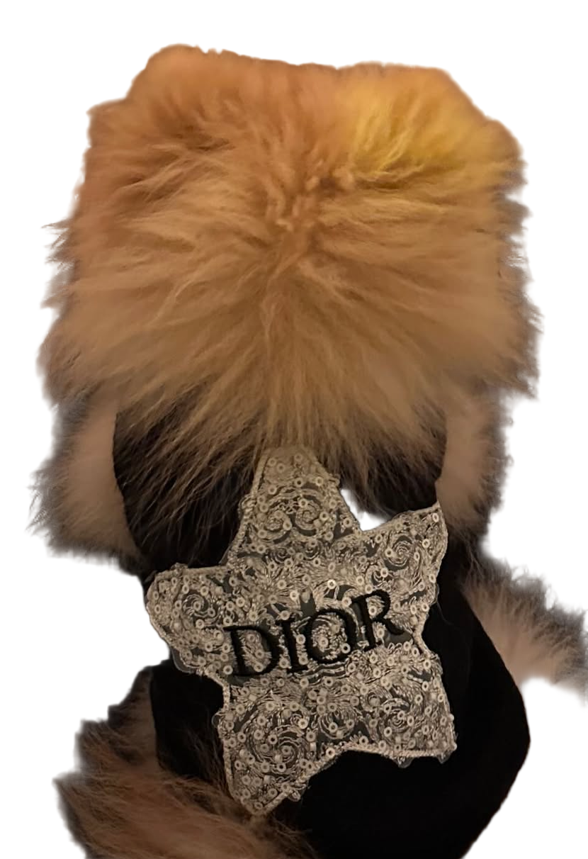 Sparkle Star Dog Jumper - Black