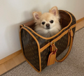 Luxury Pet Dog Carrier - Tan