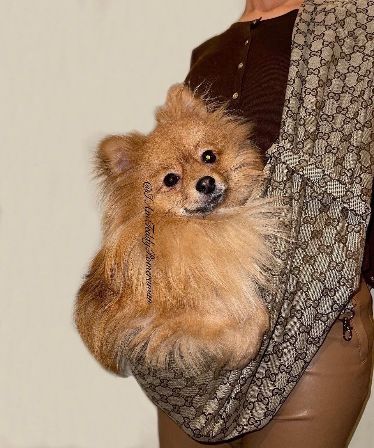 Designer Dog Pet Sling Carrier - Beige
