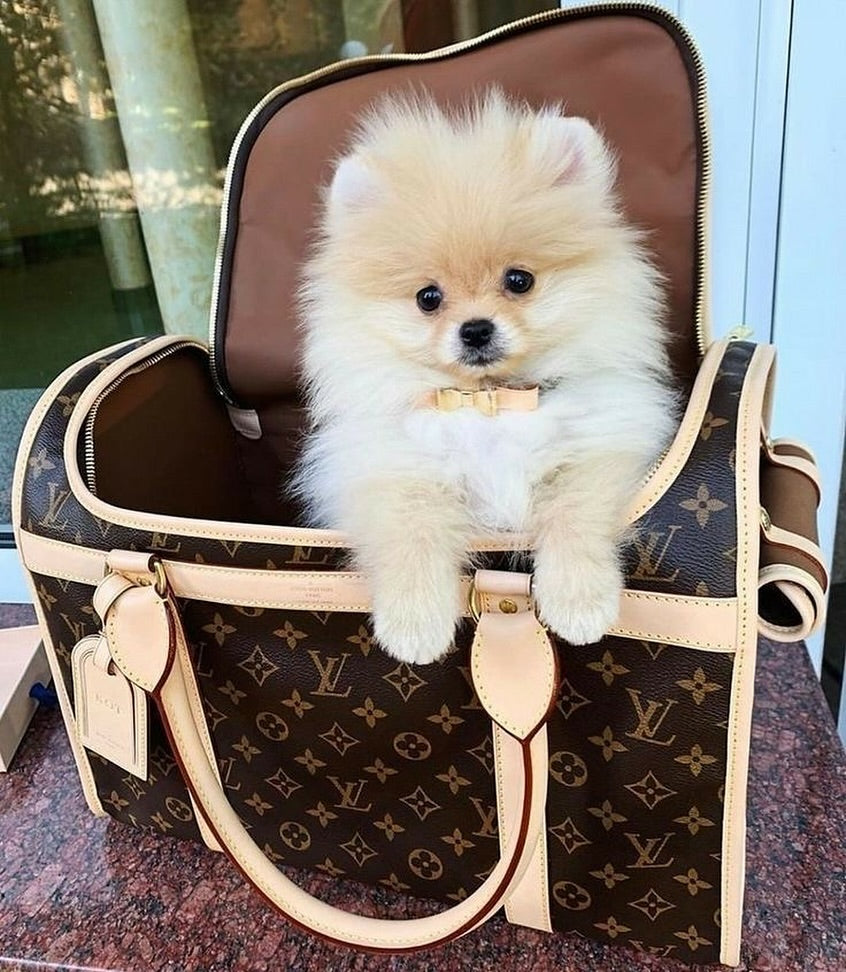 Luxury Flower Dog Carrier - Brown