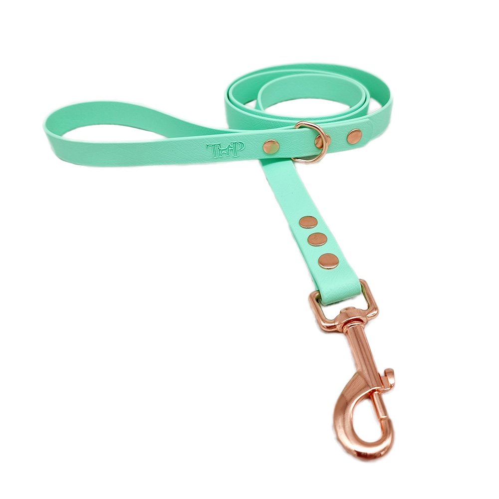 Trinkety Paws City Collection Biothane Dog Lead Seafoam 120cm 20mm
