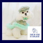 Tweed Style Dog Cloak, Lead and Hat Set - Mint