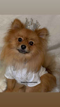 Faux Silk Dog Designer Shirt - White