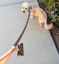 Luxury Dog Waste Holder Poo Bag - Brown