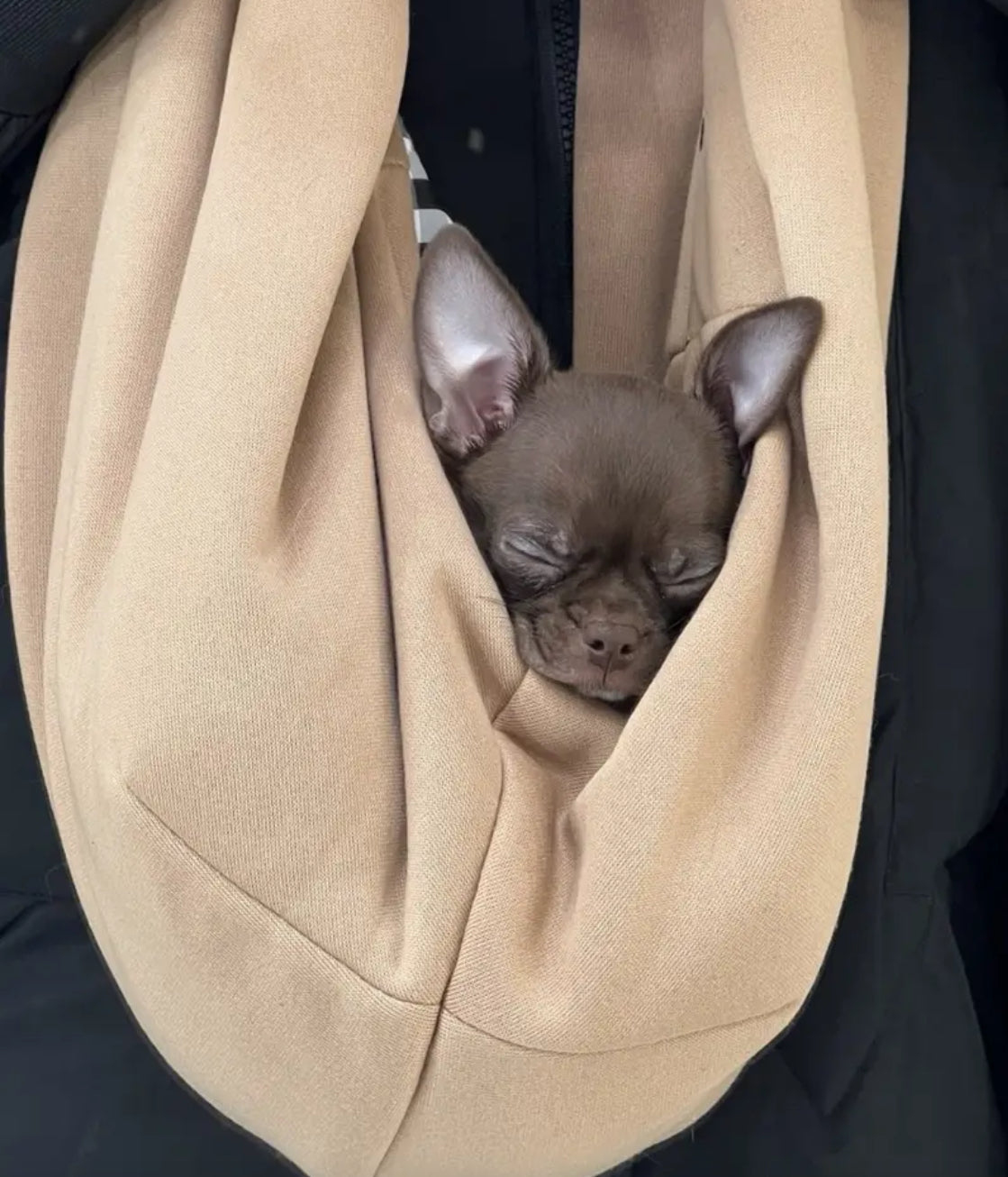 Crossbody Dog Sling - Beige