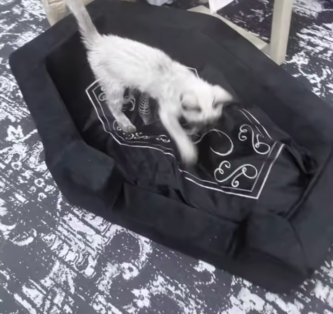 Gothic Coffin Dracula Dog Pet Bed - Black