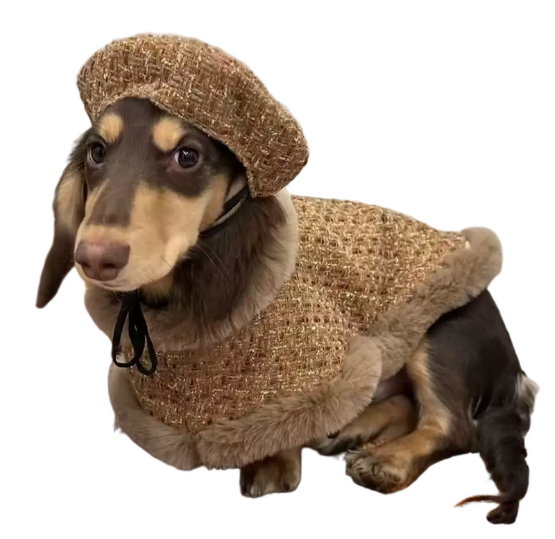 Textured Tweed Dog Cloak Cape Jacket with Faux Fur Trim - Brûlée Brown
