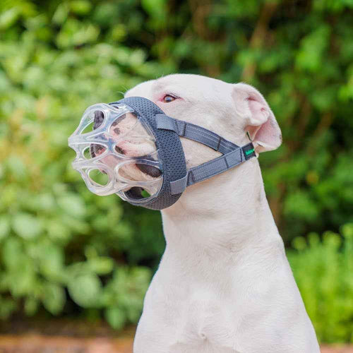 Company Of Animals Baskerville INVISA Muzzle