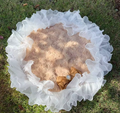 Rose Bud Floral Dog Wedding Seat Cushion - Beige