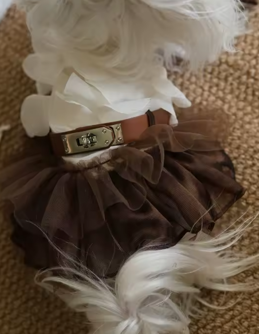 Handmade Firkin Organza Dog Luxury Tutu Dress with Lock Belt Detail - Brown/White