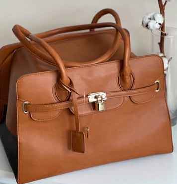 Luxury Padlock Pet Carrier Handbag - Tan