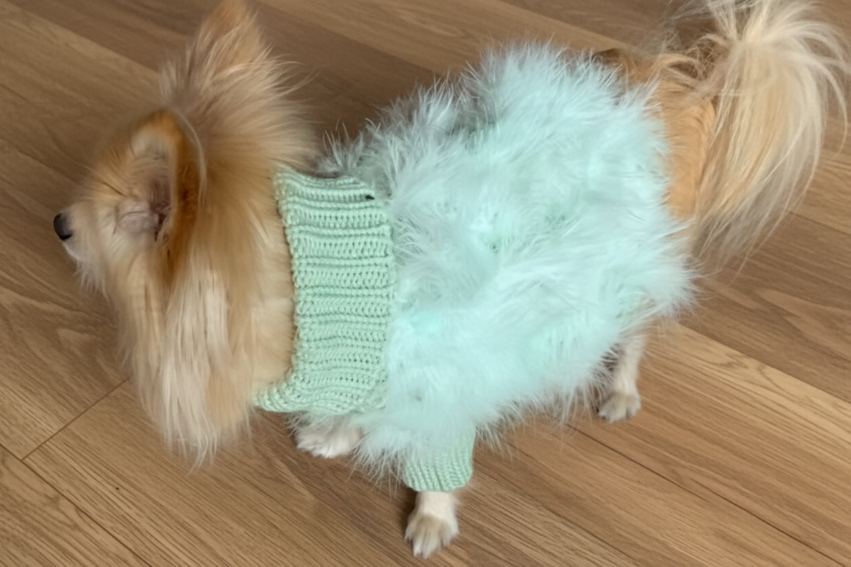 Knitted Feather Dog Jumper - Mint Green