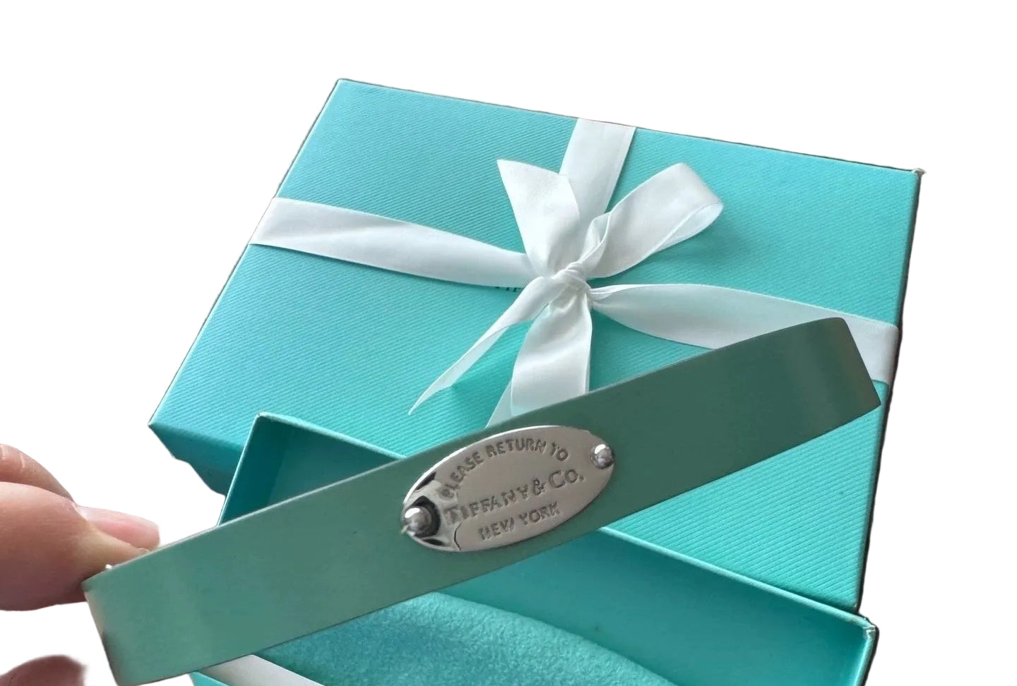 Tiffany Dog Collar and Lead Set