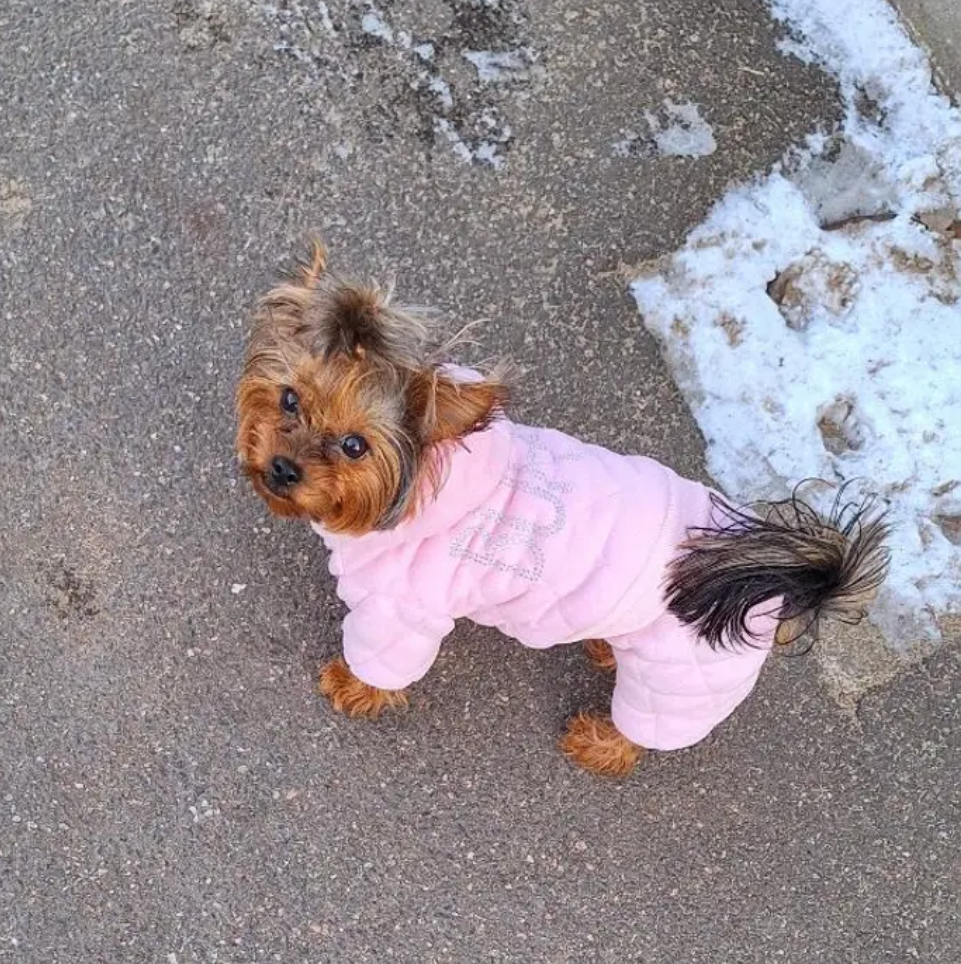 Poochi Couture Dog Quilted Embellishment Tracksuit All-In-One - Pink