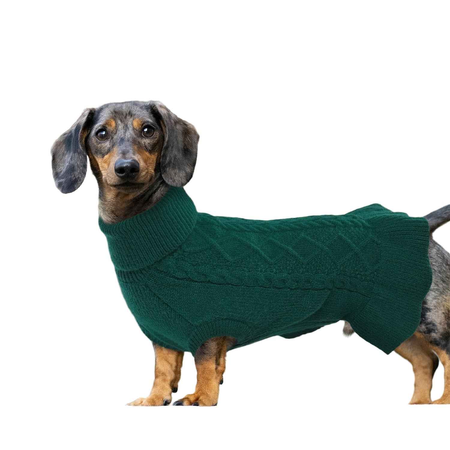 Peplum Dog Christmas Winter Jumper - Emerald Green