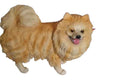 Pomeranian Standing Ornament