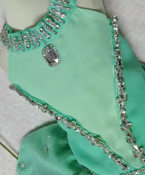 Handmade “Tinkerbell” Dog Organza Tutu Petal Dress with Embellishment- Blue Green