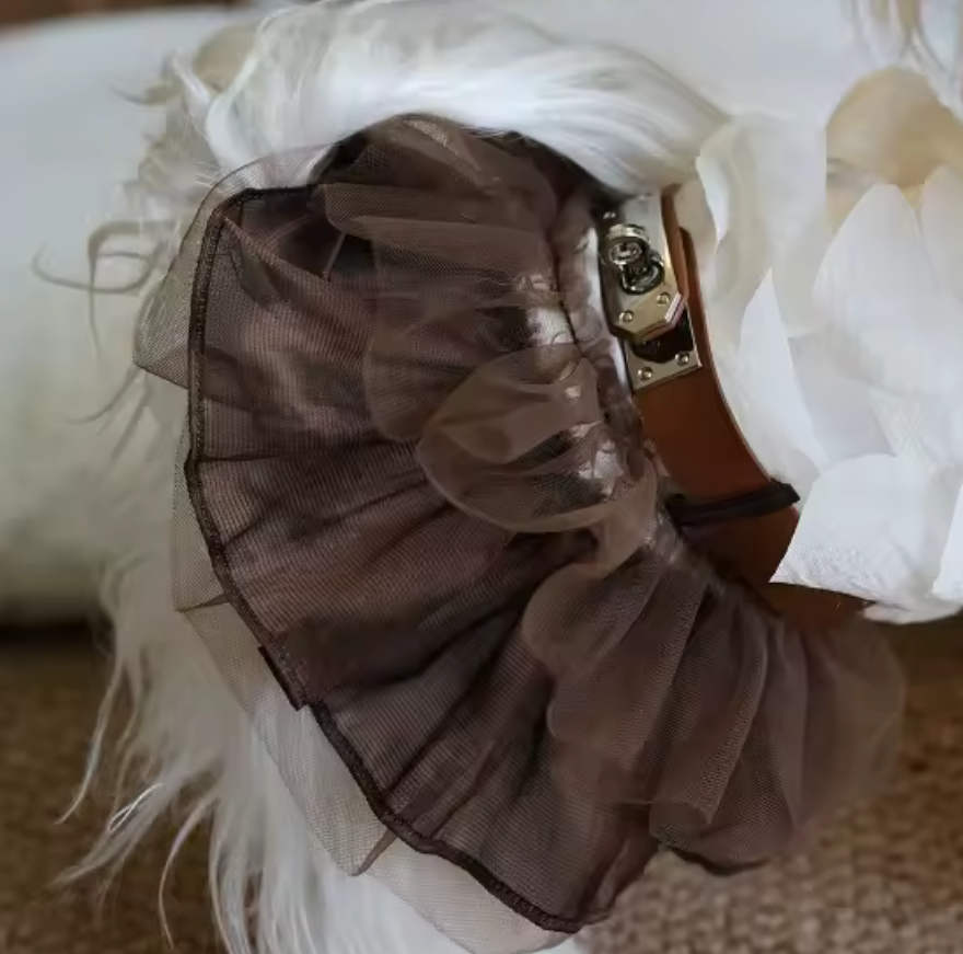 Handmade Firkin Organza Dog Luxury Tutu Dress with Lock Belt Detail - Brown/White